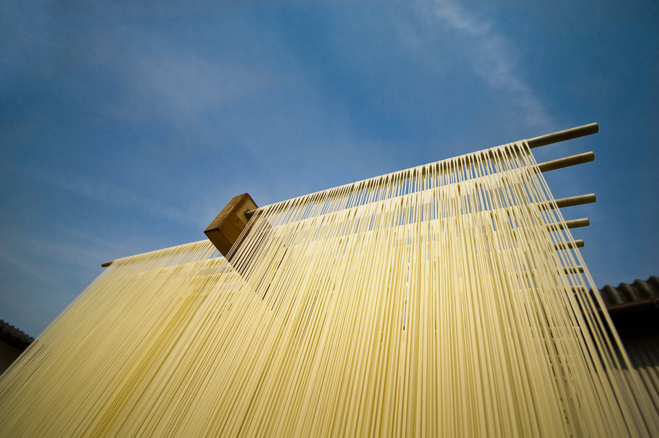 Noodle dry landscape